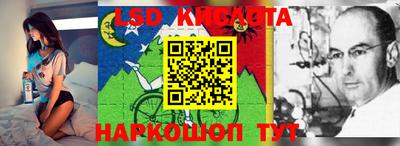 PSILOCYBIN Кингисепп