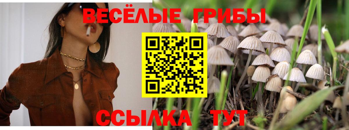 Псилоцибиновые грибы мухоморы  Псилоцибиновые грибы Cubensis  Кинель  Вход с VPN 