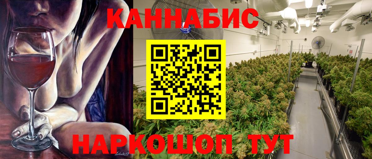 МАРИХУАНА гибрид Кинель